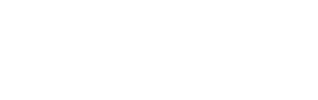 Arsip Manusia