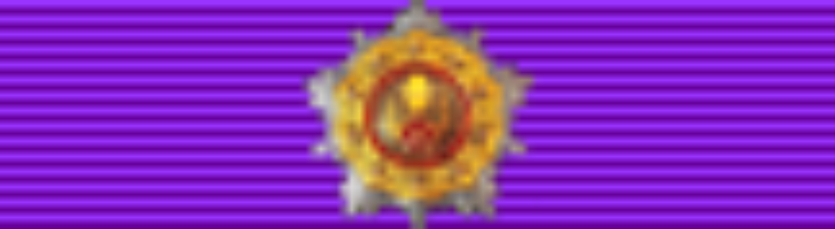 Great Star of the Order of the Yugoslav Star